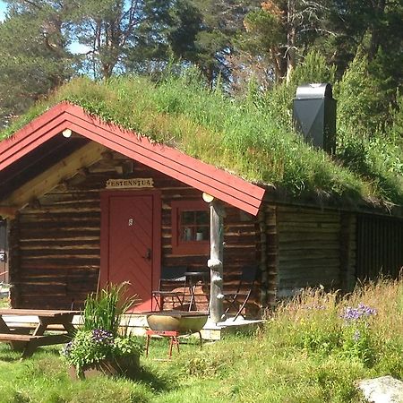 Batsto Camping Elga Exterior photo