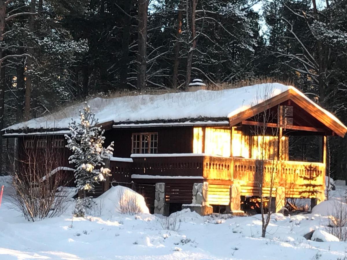 Batsto Camping Elga Exterior photo