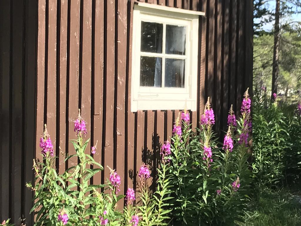 Batsto Camping Elga Exterior photo