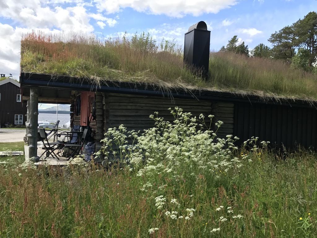 Batsto Camping Elga Exterior photo